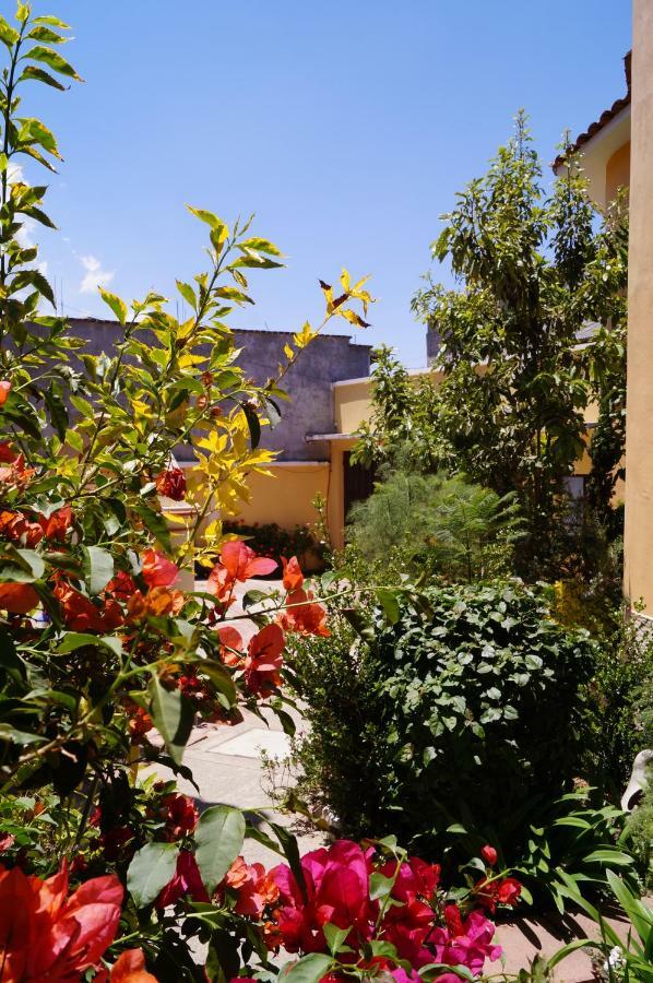 J&K Suite San Cristóbal de Las Casas Kültér fotó